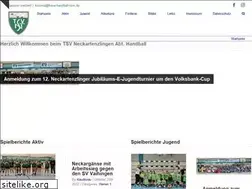 Sites similar to handball-neckartenzlingen.de