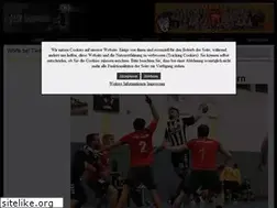 Sites similar to handballfreunde-mtv.de