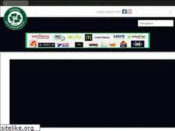 Sites similar to handballsem42.fr