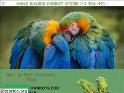 Sites similar to handraisedparrots.company.com