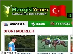 Sites similar to hangisiyener.com