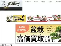 Sites similar to haniwa-bonsai.com