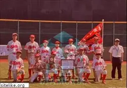 Sites similar to hanshinboys.jp