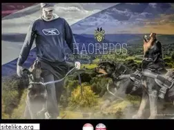 Sites similar to haorepos.nl