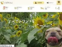 Sites similar to hapiwan.jp