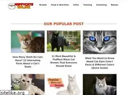 Sites similar to happycatsonline.com