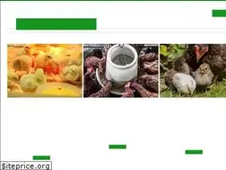 Sites similar to happychickencoops.com