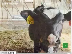 Sites similar to happyhillfarm.co.jp