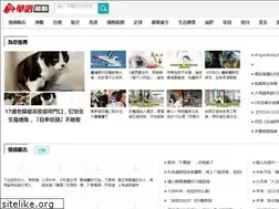 Sites similar to happytify.cc