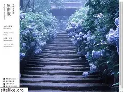 Sites similar to haradahiroshi.com