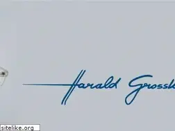 Sites similar to haraldgrosskopf.de