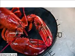 Sites similar to harbourcafe.nl