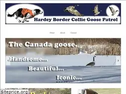 Sites similar to hardeybordercollies.com