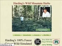 Sites similar to hardingswildmountainherbs.com