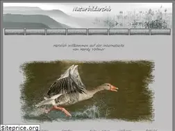 Sites similar to hardyvollmer.de
