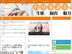 Sites similar to hari-chu.com