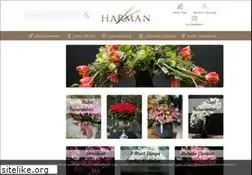 Sites similar to harman.com.tr