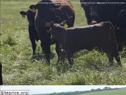 Sites similar to harmoncreekfarms.com