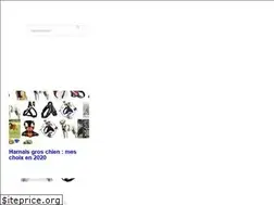 Sites similar to harnais-chien.com