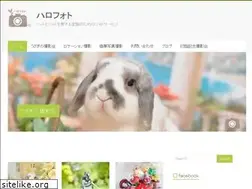 Sites similar to harophoto.net