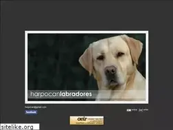 Sites similar to harpocan.com