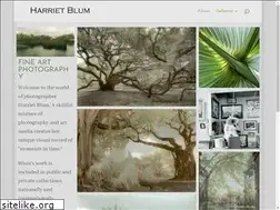 Sites similar to harrietblum.com