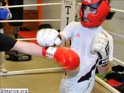 Sites similar to harrowboxing.com
