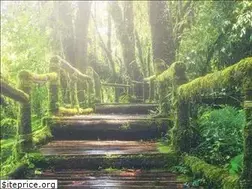 Sites similar to harrydijkshoorn.com