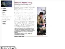 Sites similar to harrykapsenberg.nl