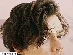 Sites similar to harrystylesdaily.net