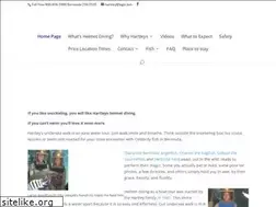 Sites similar to hartleybermuda.com