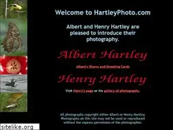 Sites similar to hartleyphoto.com