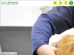 Sites similar to harue-vet.com