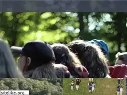 Sites similar to harvestmuskoka.com