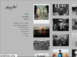Sites similar to harveysteinphoto.com