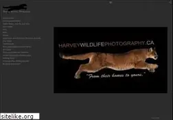 Sites similar to harveywildlifephotography.ca