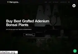 Sites similar to harvyora.com