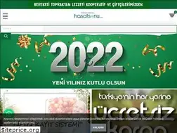 Sites similar to hasatsonu.com