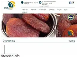 Sites similar to hasega.com.tr