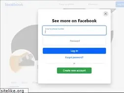Sites similar to hasguitars.com