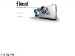 Sites similar to hasgul.com.tr