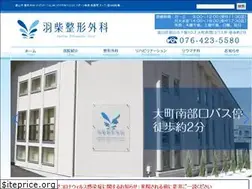 Sites similar to hashiba-seikei.com