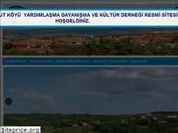 Sites similar to hasirciarnavutkoyudernegi.com