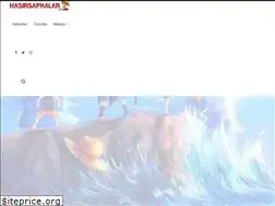 Sites similar to hasirsapkalar.com