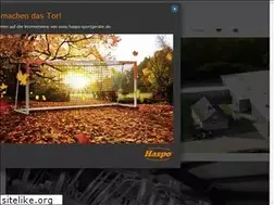 Sites similar to haspo-sportgeraete.de
