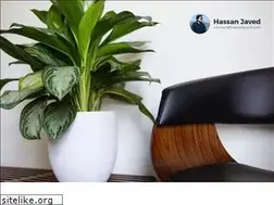 Sites similar to hassanjaved.com