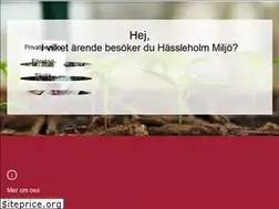 Sites similar to hassleholmmiljo.se