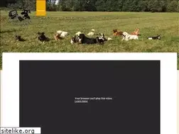 Sites similar to hasso-und-co.de