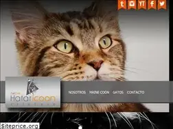 Sites similar to hataricoon.com