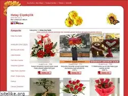 Sites similar to hataycicek.com
